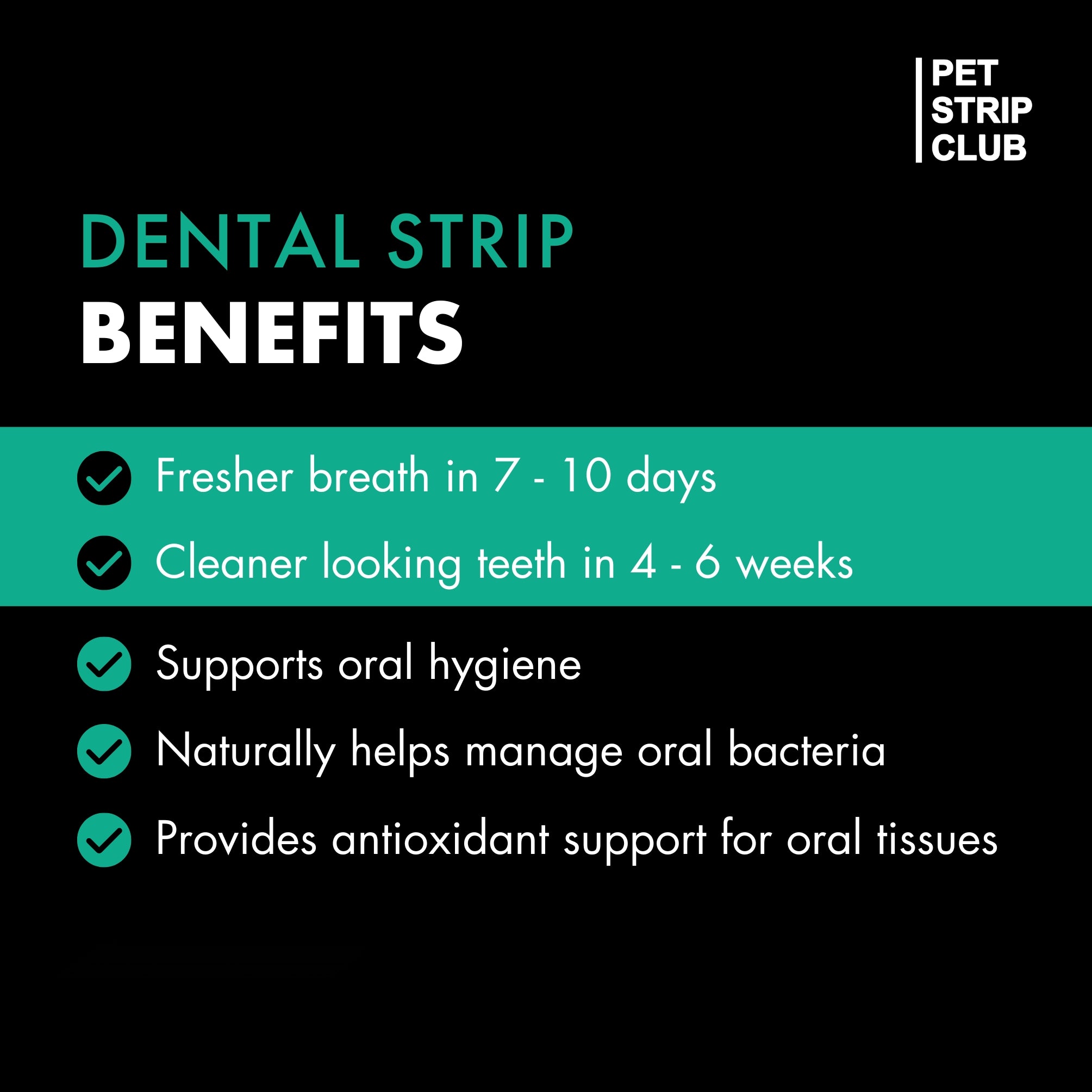 Dental & Oral Care
