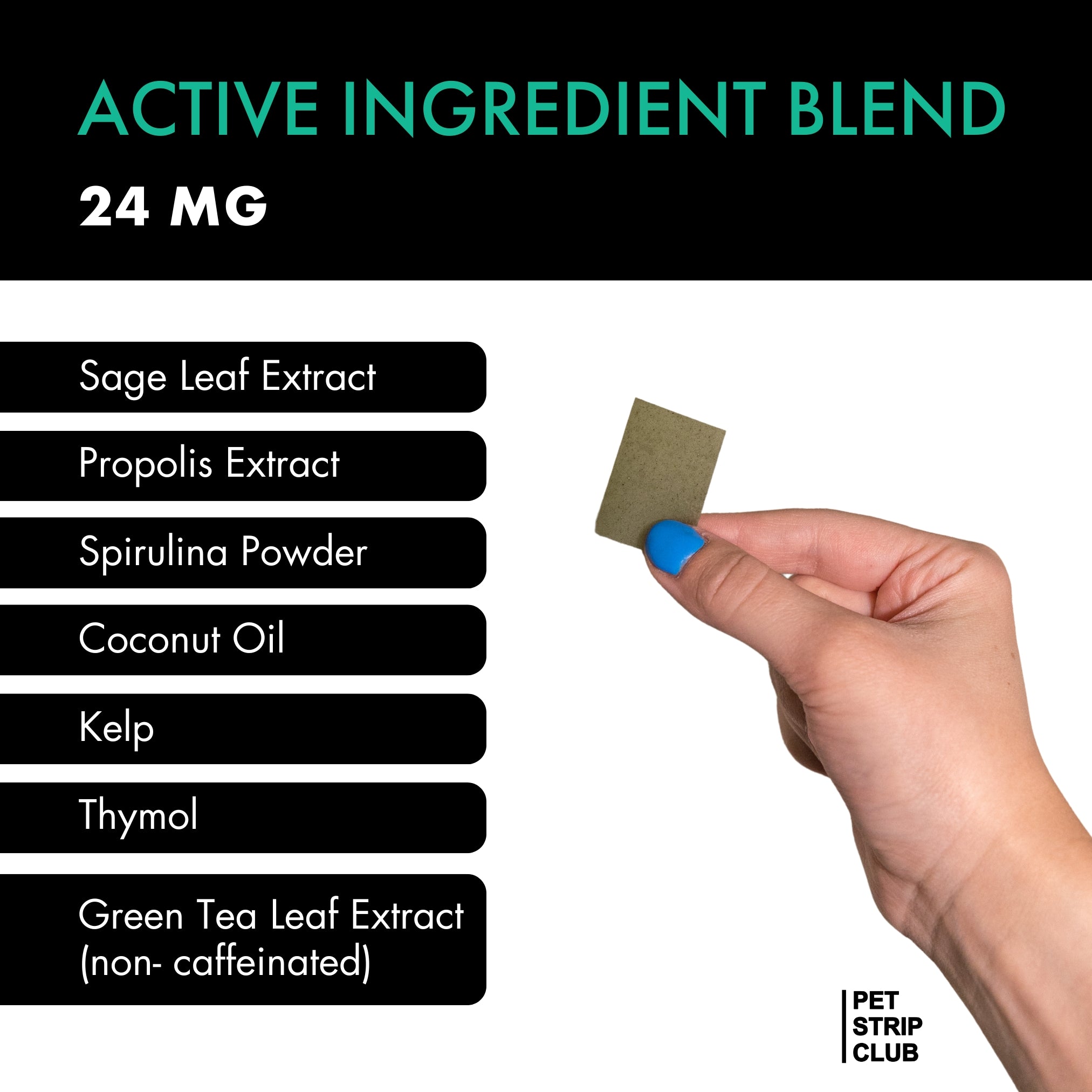 Dental and Oral Care PRE-SALE (SHIPS FEBRUARY 2026)