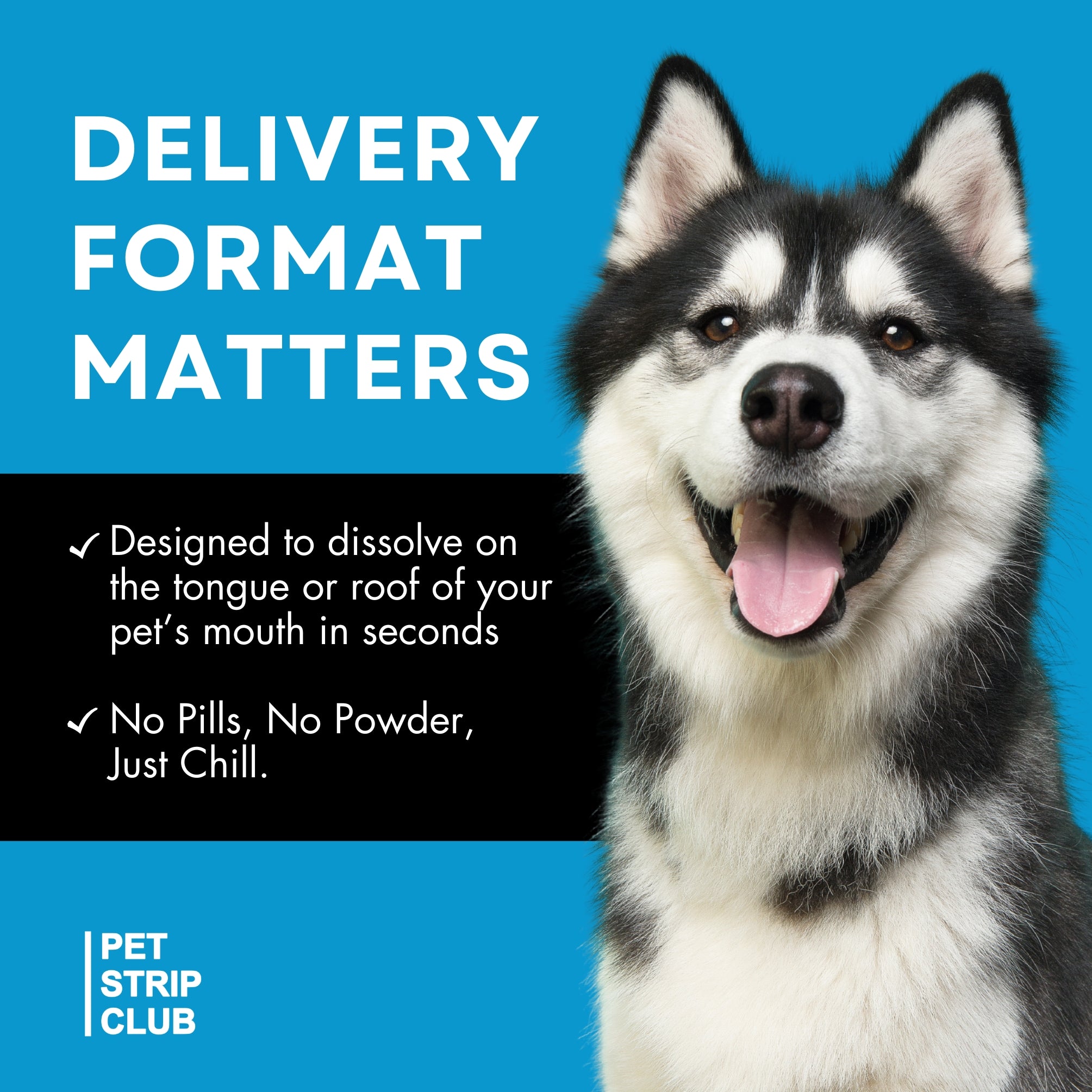 Calming and Relaxation PRE-SALE (Ships February 2026)