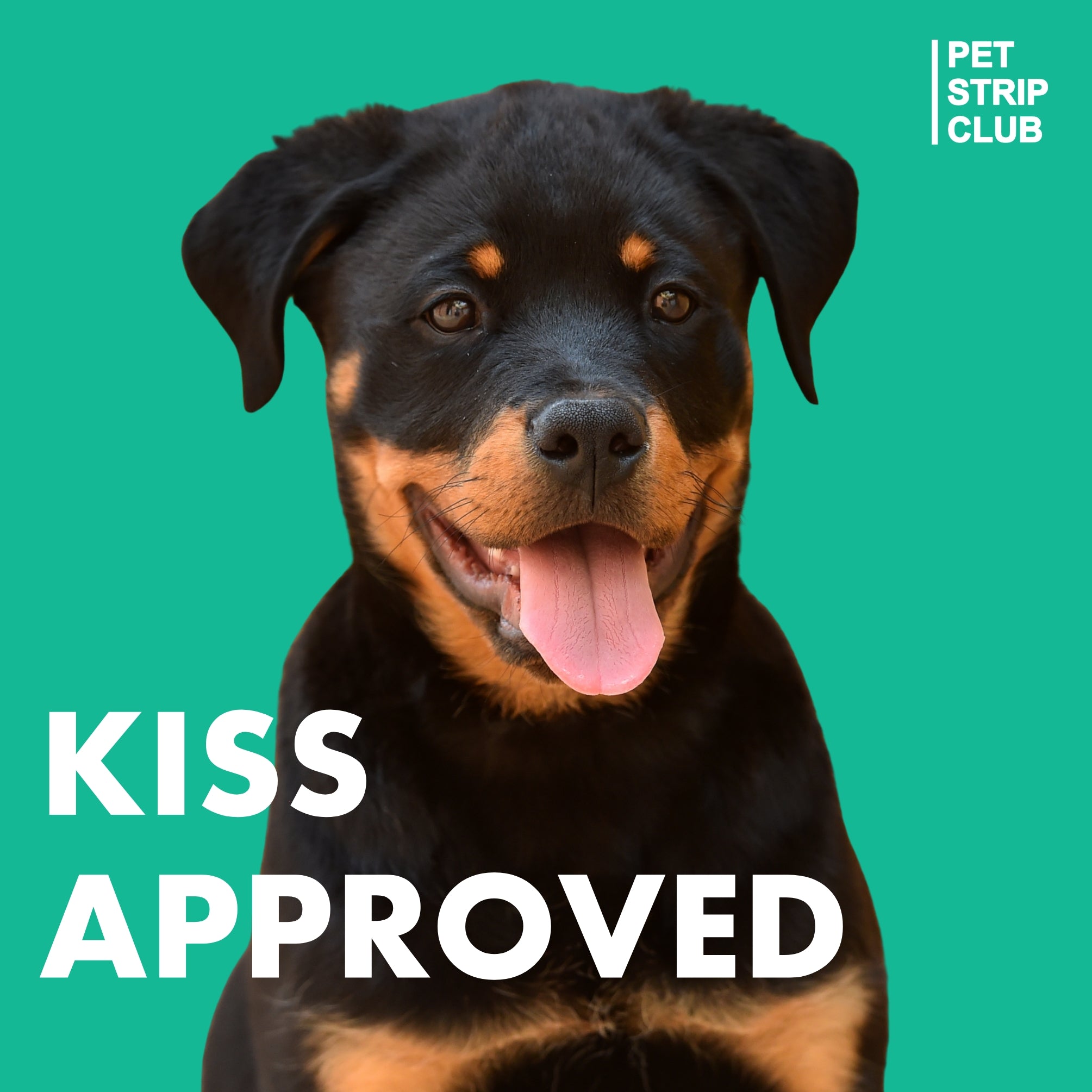 Dental and Oral Care PRE-SALE (SHIPS FEBRUARY 2026)