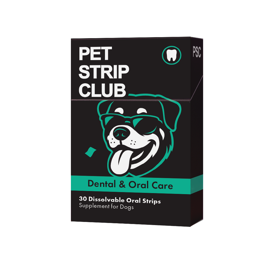 Dental and Oral Care PRE-SALE (SHIPS FEBRUARY 2026)